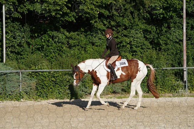 sA9K06012.JPG